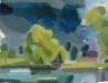 Binsey-summer-storm