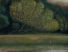 Godstow-willow
